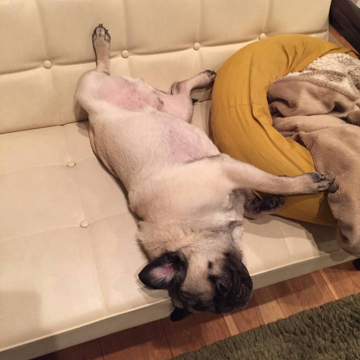 33272b60 368f 4af2 b21f 7051281d5e35