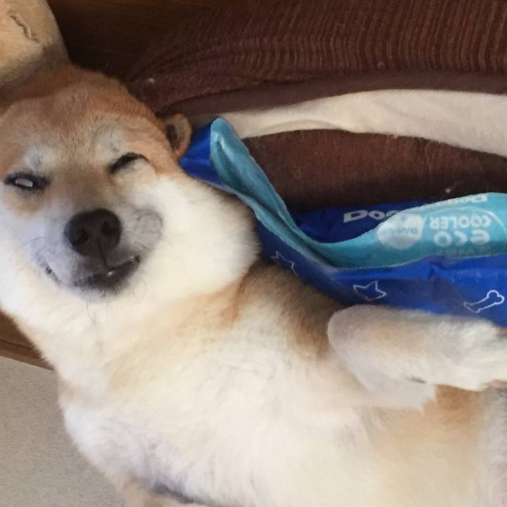 33277dd2 cd59 4ee2 a448 c8f818a6c09a