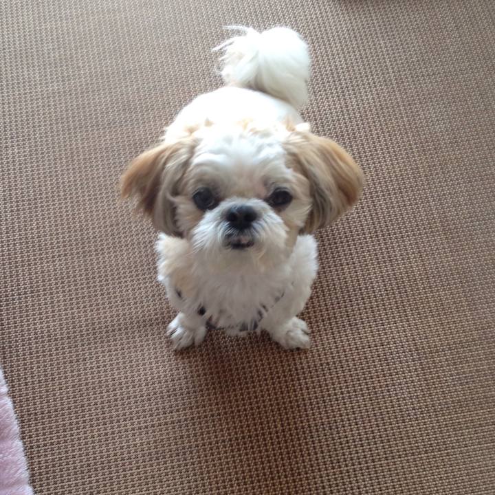 33279118 9283 49fe bbeb c17d13c9baf9