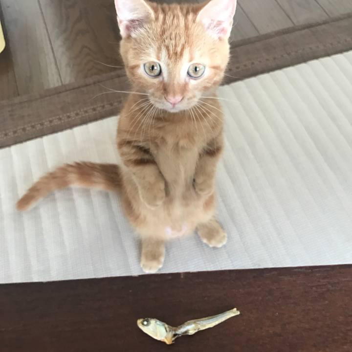 332843a2 6bea 4510 a6fe ad8267c72df8