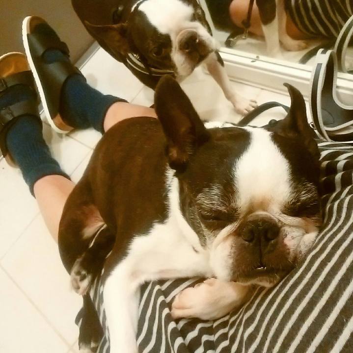 33285757 6627 47ba 82e3 ea34bafcc505