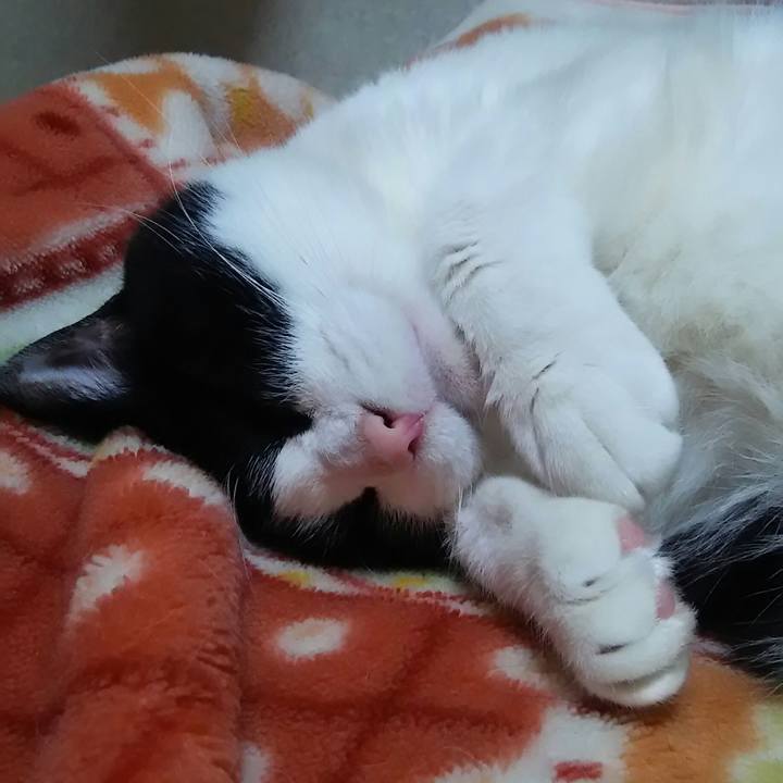 33299f76 01ec 482f b183 a3530e7ef719