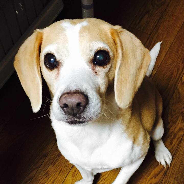 332a15e0 ace1 4950 a4e4 06772515c56b