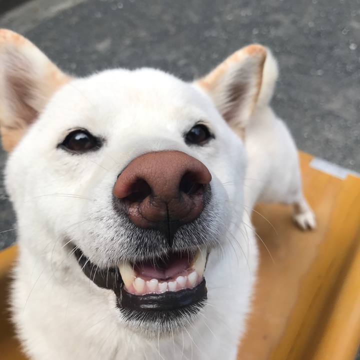 332a701b 6ffb 41eb a9f1 5b315bcecfd0