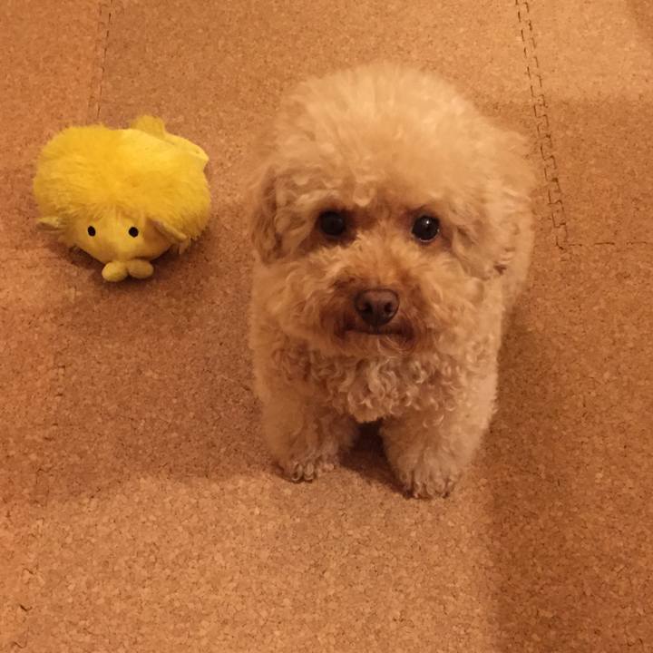 332af7ce 4b1e 4b3b 9fed 99d885b47e98