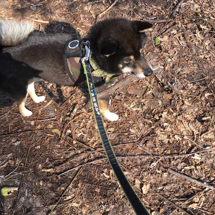 332affc0 6941 46d5 bce5 12f64f6ba100