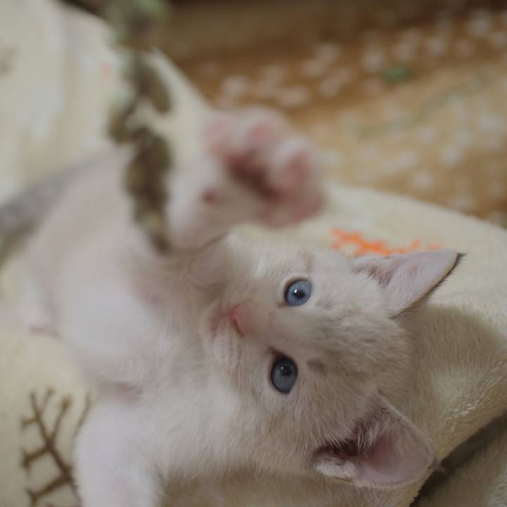 332baa13 b149 4d46 82cc b2f582df5445