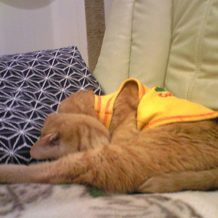 332bb790 e22e 4e7e 8616 4fb922b441d0