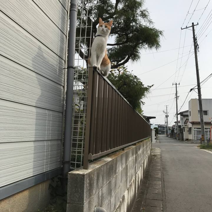 332c4170 f995 432f 9def 6b64e6dfee50