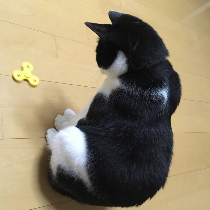 332c584c f5bd 41df b5c8 9de4832d3bfc