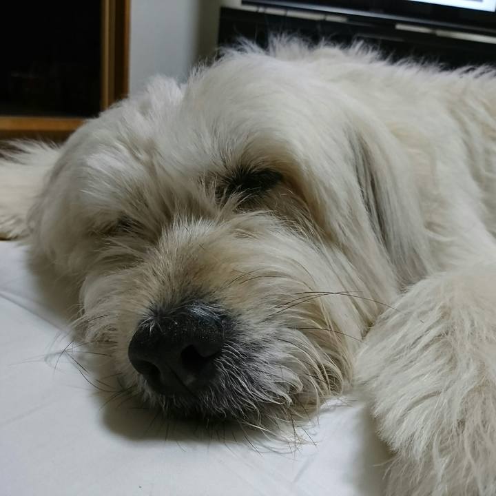 332c86a2 a9f8 488e 89cb b3c99ad51600