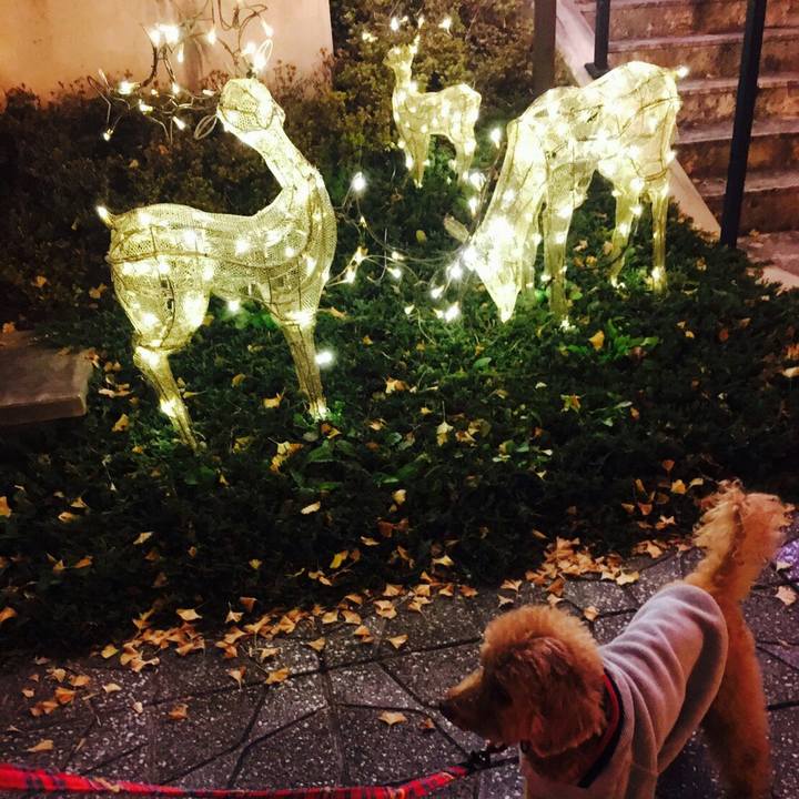 332d0ea4 6f2e 4125 a9bf 38486f00a344