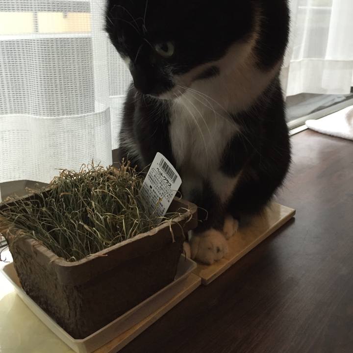 332d2a5c d76c 455d 8d9a 3755310591a7