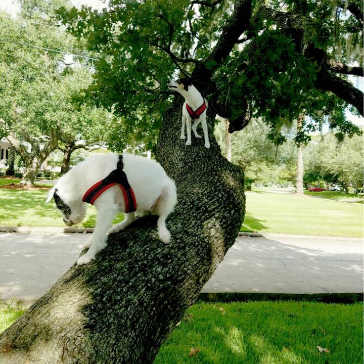 332e6afe d285 4449 9456 63939bbdf9ca