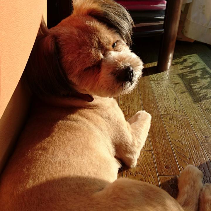 332e9914 d0d8 4586 9ac7 23b88f0d1e89