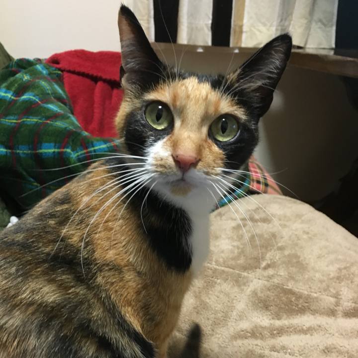 332eae07 123f 4389 a8aa 6e68cd12f06f