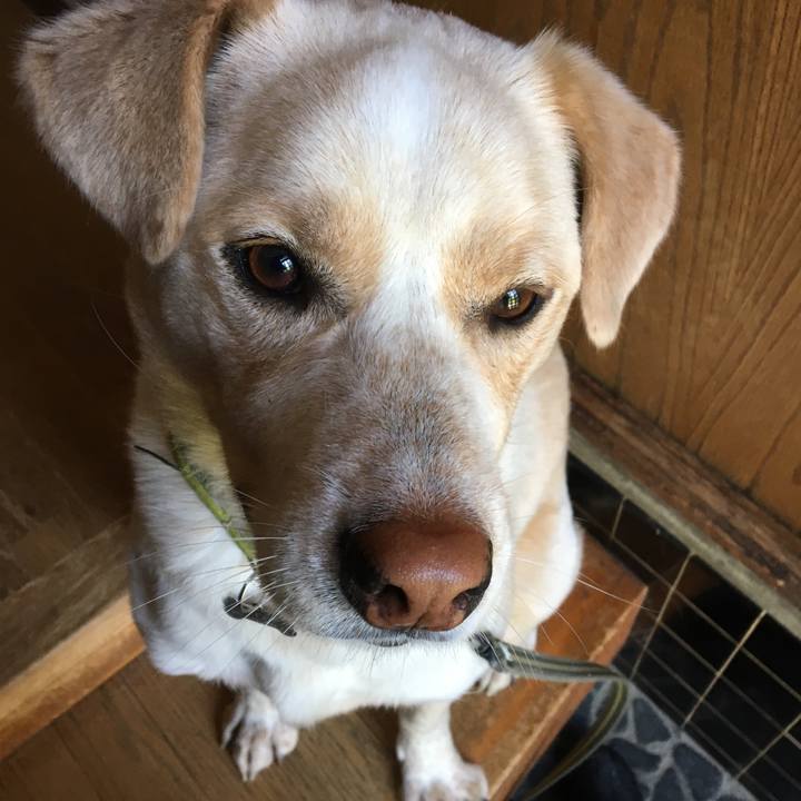 33300701 326d 403d ae1f 87bae77f3ee6