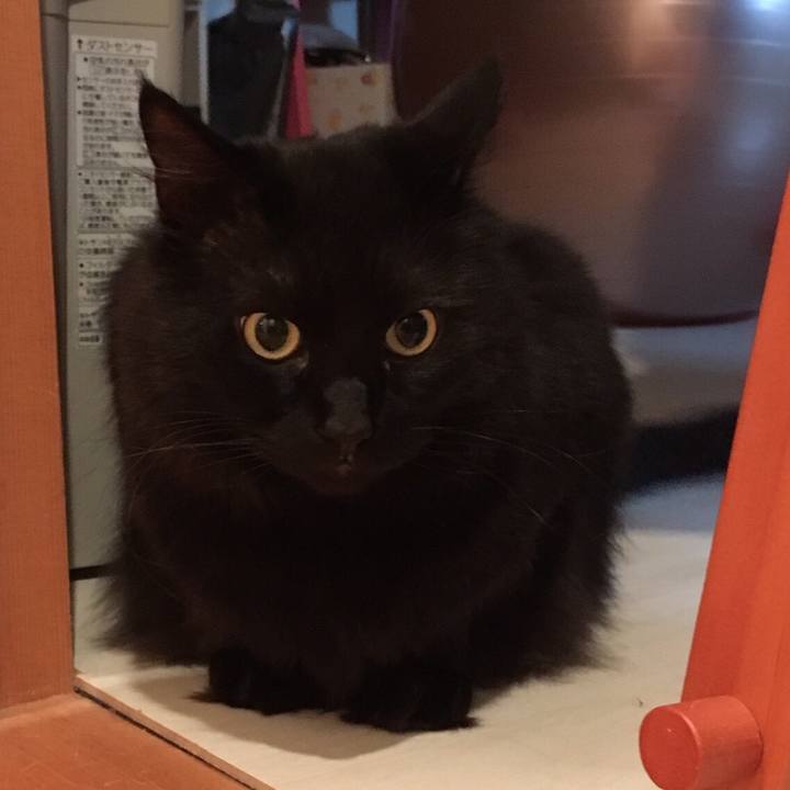 3330420d 530c 4246 8f90 029e5cf43d38