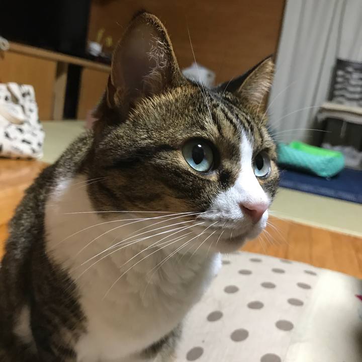 333046db 2fbd 498a adc4 ab4ae71d26c6