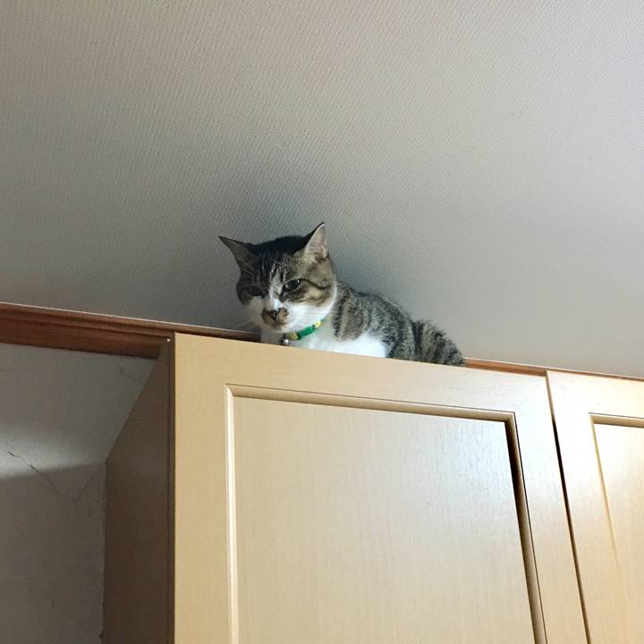 333127e7 2f8e 4c1a 94a5 dfb463c0595b