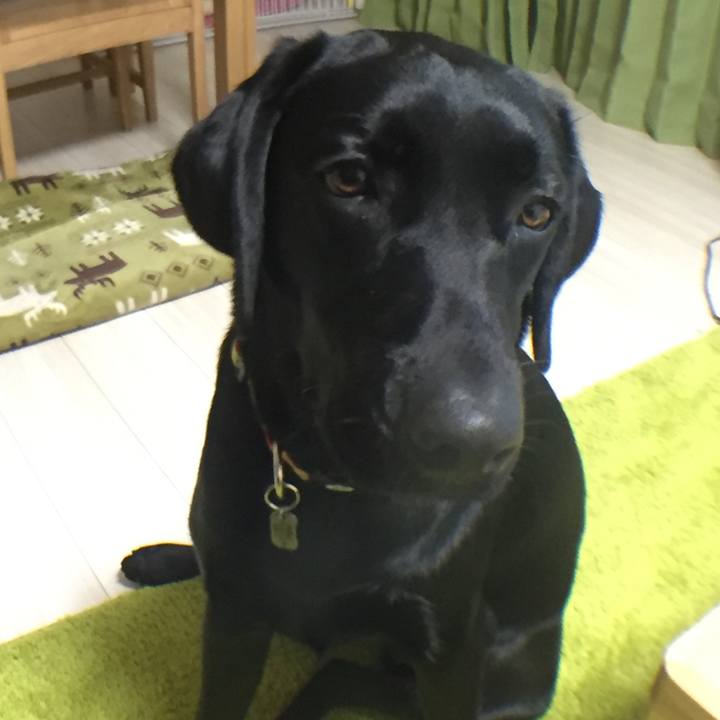 3331965d 4b8c 4d4b bec0 918bbbbcfc44