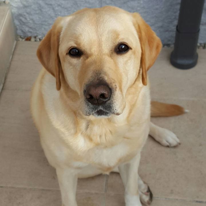 33319d5b 1cd3 4b84 870f ad205bc4d631