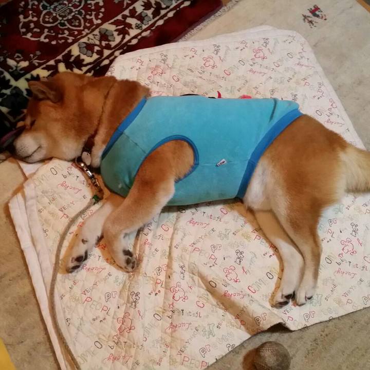 333246ea 4ce0 4a52 a6b2 8a801c95f2d1