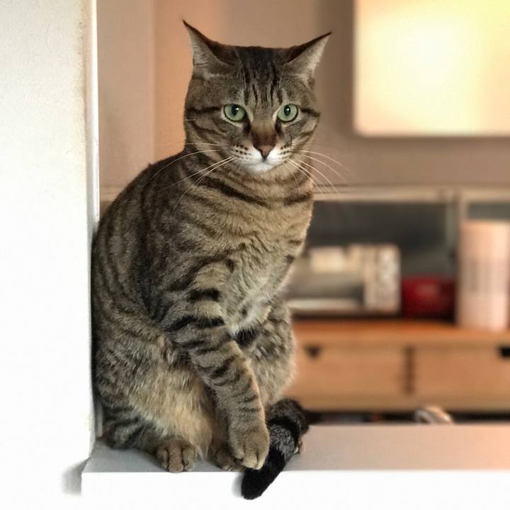 33330e63 2ef4 4cee 8dec 9f79c4e51724