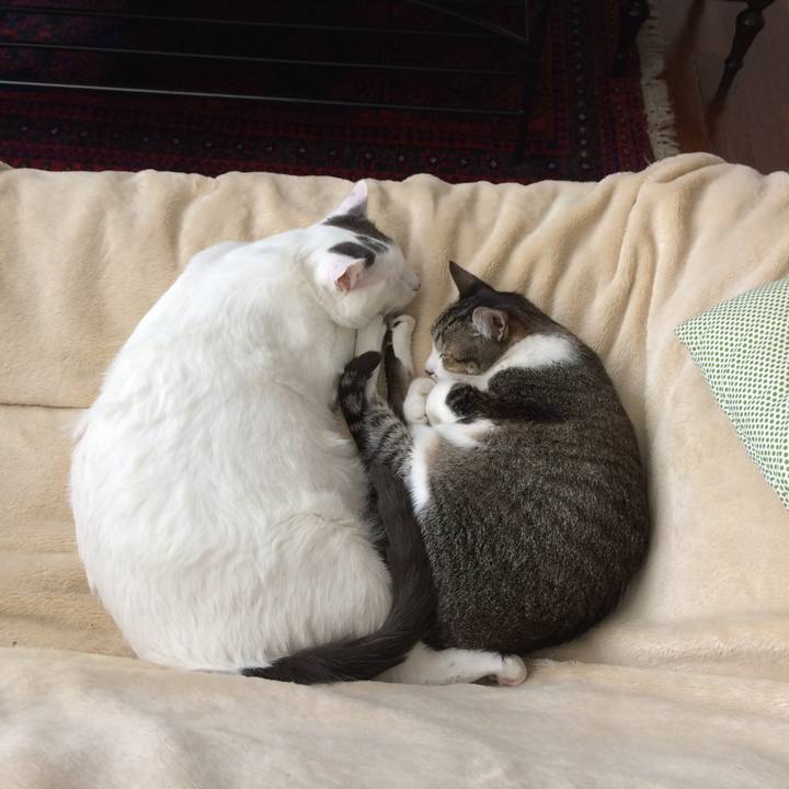 333337d3 b9a5 4d73 b588 6ad7c82bef79