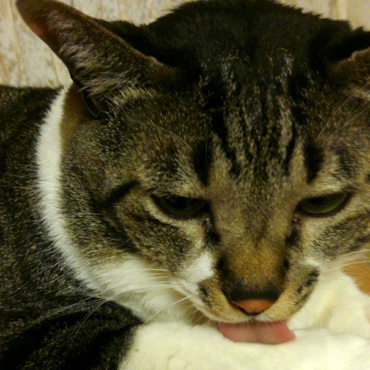 3333c29a 2b35 4b05 99cd 0b52bd740615