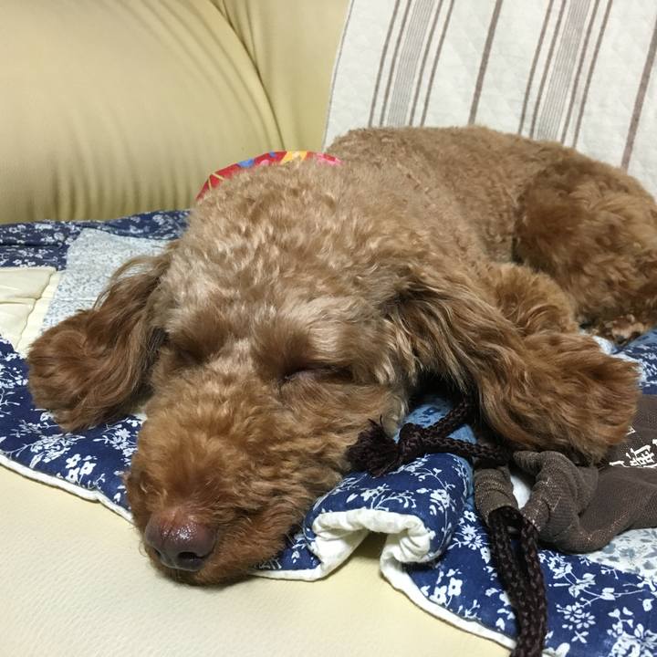 3333e4c7 aa4b 47fe 890c 2b2e9cca4883