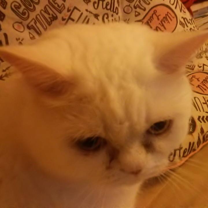 33347d97 f716 4fc8 867e b229ccf05802