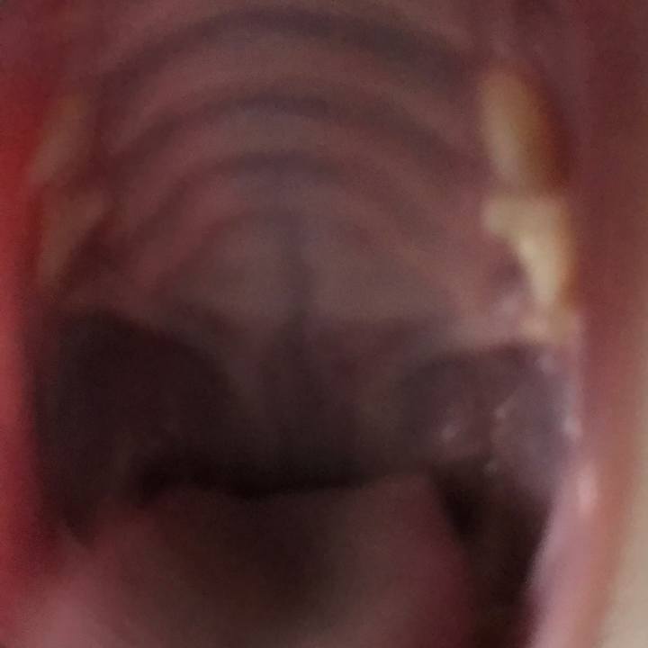 3334a343 5b8d 43e6 a51b bfdf3a17f278