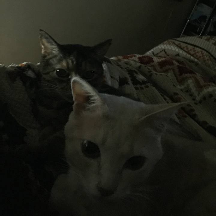 3334abef 2f03 4927 ac7e 29f1975135ed