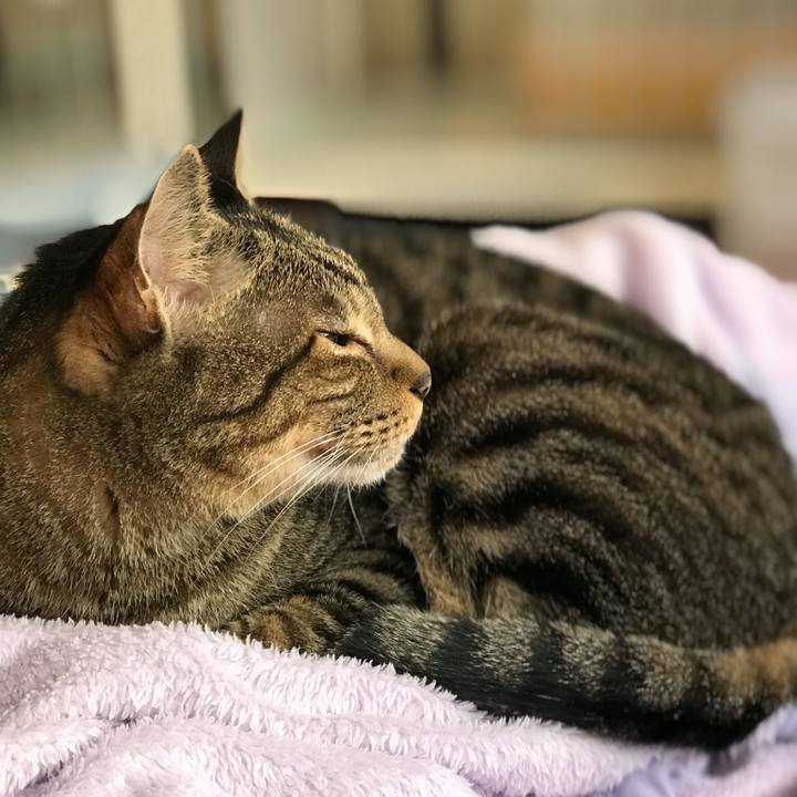 33351ce3 238c 4af1 bc83 6b6e82726650