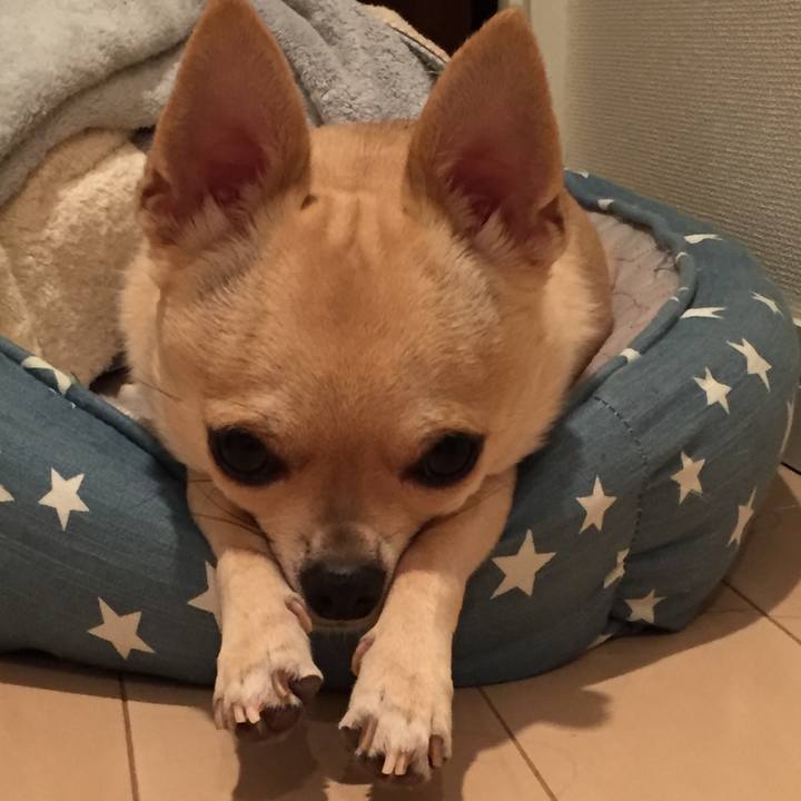 33366b38 70bf 499c 8e30 ef181ea6c45f