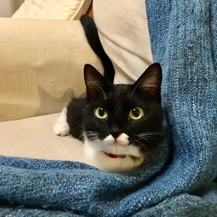 333681f7 f4b4 4e1f aff3 189094e089b2