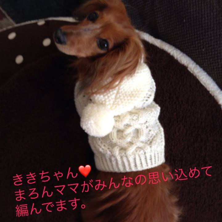 33369480 e322 4e33 a300 3a295545d9b1