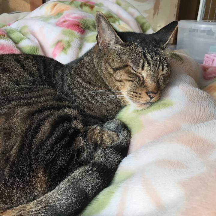 3336d8bc 7510 49f3 9653 cfc04cb3d166