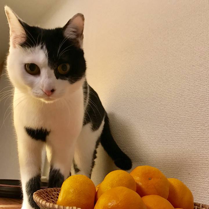 3336f764 40da 43d8 a305 2849bcaafb5f