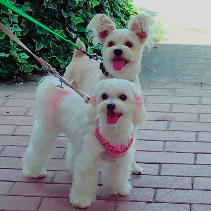 3337dbef 78e0 40de 9e3c 7d136c70c727