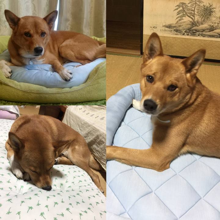 3337f314 6bf3 4cde 9914 dc24afd764a8