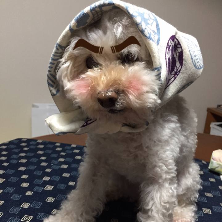 33384911 01c0 48d8 b951 f93bdbd173ac