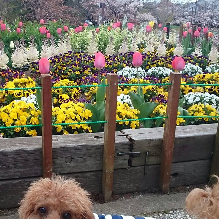 33385a8a 5333 4d5a 82ca 3fed34b680ff