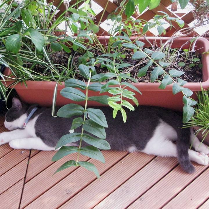 3338b966 c65f 4fd7 a0ce 4dbbf1455a68