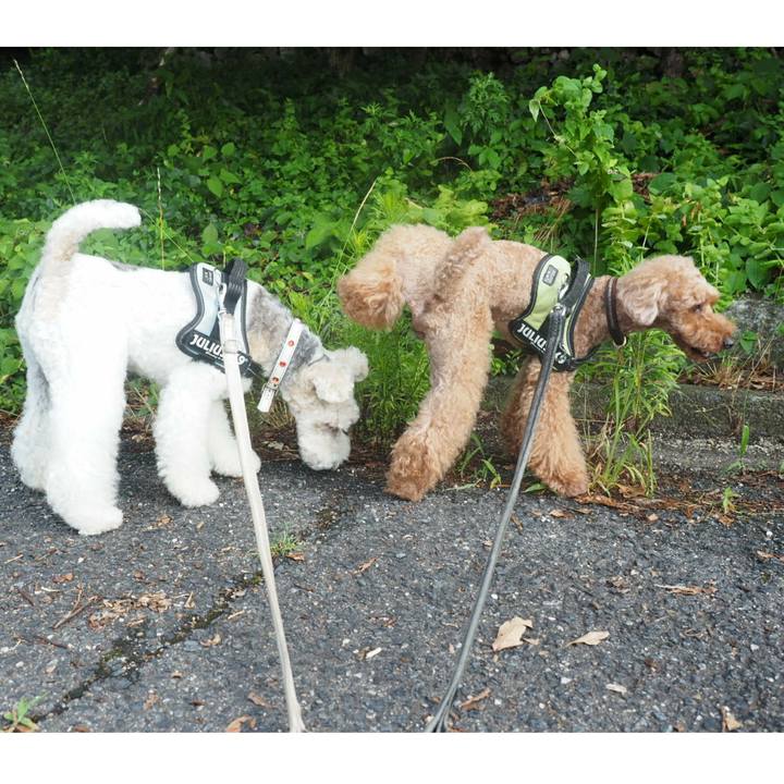 3338d998 07d5 447f 930d 65f1b5d64491