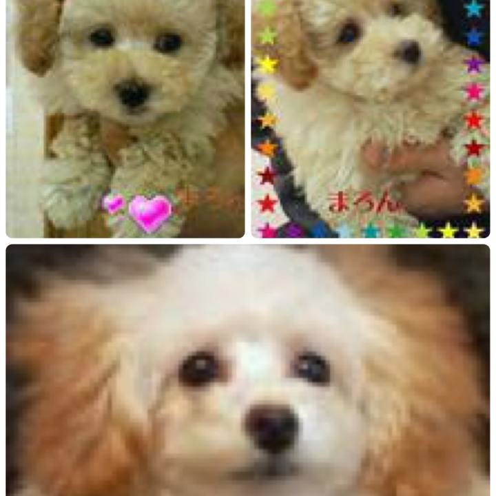 333954ad dddf 4962 b915 87801958cc08