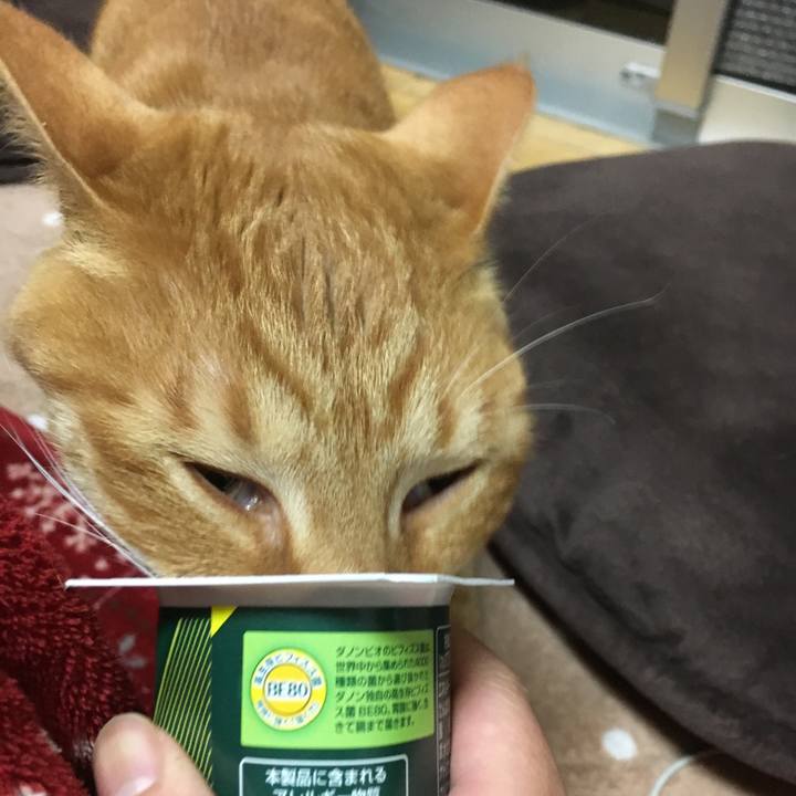 33395d4f daa2 4cbf b9d9 9f19d9a05dd7