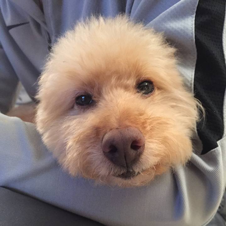 333a0fcb 7567 49f7 b481 60c305d31776