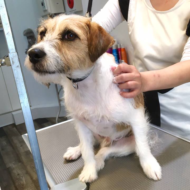 333a5e96 7538 4fc6 a1cc 96f6e489e0c7